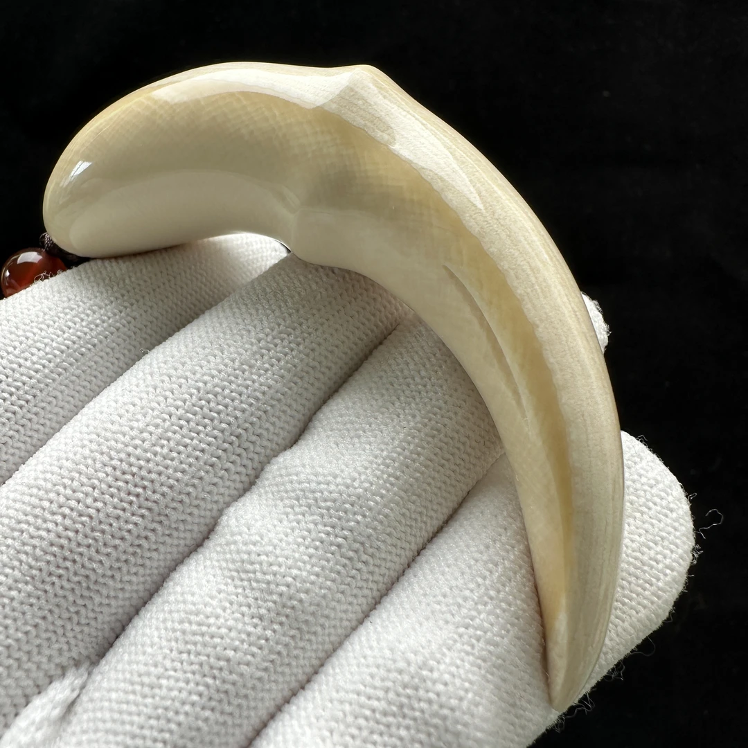 B1166天然猛犸牙雕刻牙尖 20*77mm支持鉴定 假一罚四