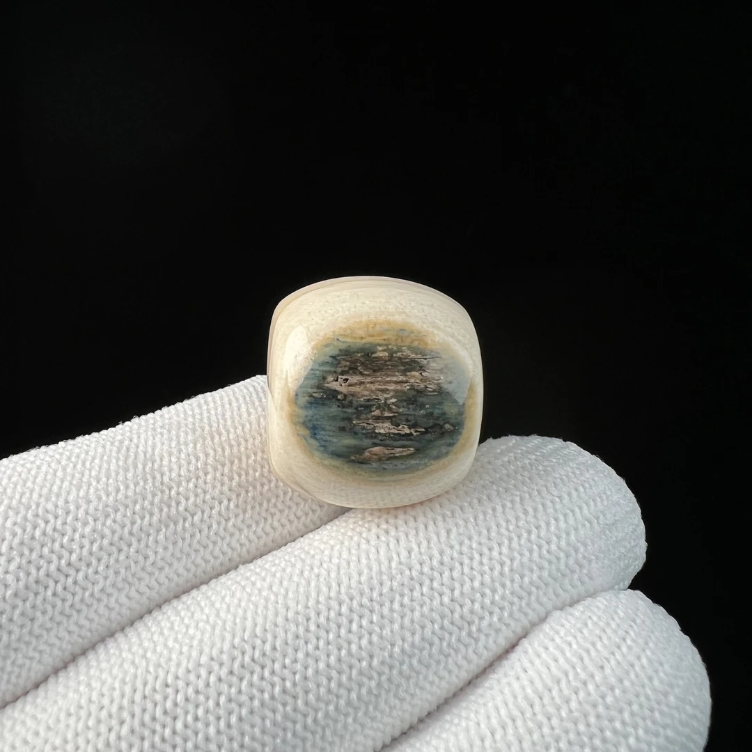 S3072天然猛犸牙 蓝眼桶珠 18.6*17.6mm支持鉴定 假一罚四