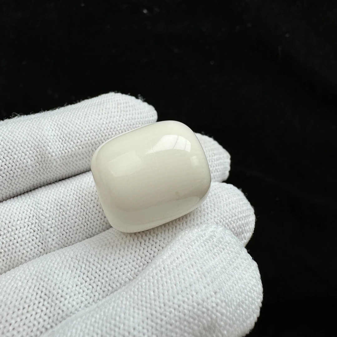 P8603天然猛犸牙 墩子 19.4*21.4mm 支持复检 假一罚四