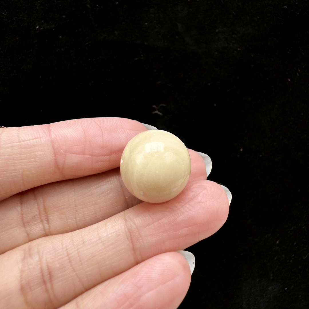 P4371-T180天然猛犸牙带皮单株16mm支持鉴定假一罚四