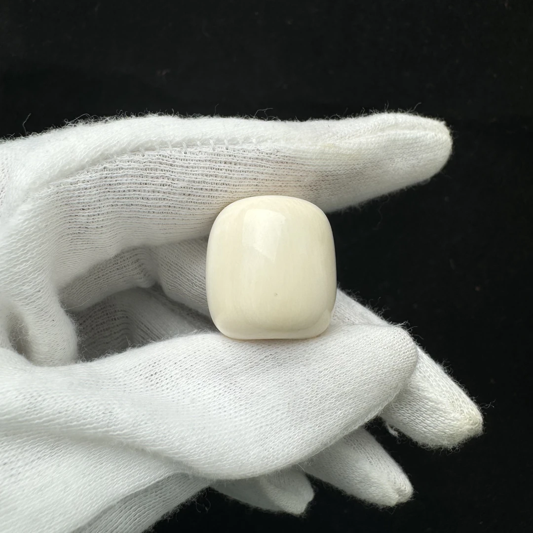 P5715-T194天然猛犸牙 墩子19.7*20.6mm 支持复检假一罚四