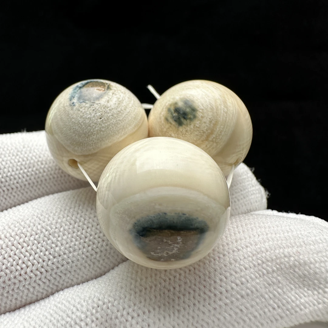 X2824天然猛犸牙 蓝眼睛19.4mm 支持鉴定 假一罚四