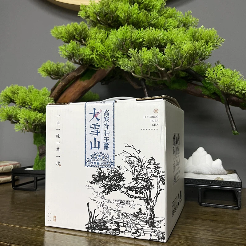 大雪山高寒奇种玉露古树普洱茶生2023年散茶200g