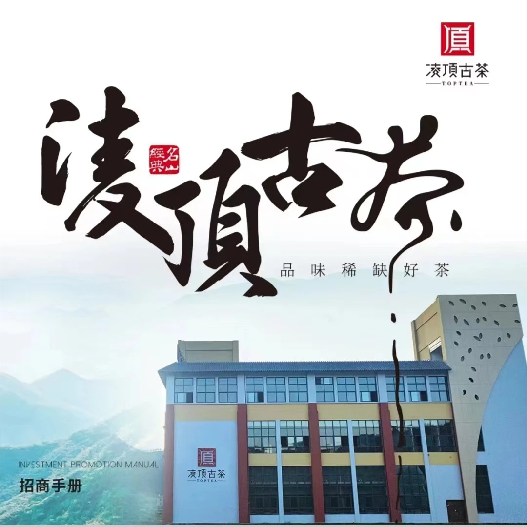 凌顶代拍（2019年绿水塘茶王地生散茶200g  褐色礼盒） 2024.9.20