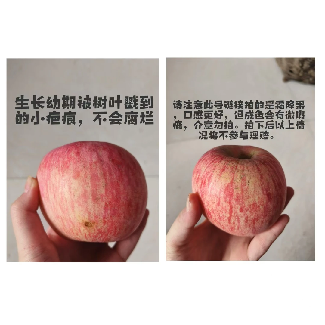 霜降果好吃不好看，买三斤送三斤！【烟台红富士苹果】自家果园现摘