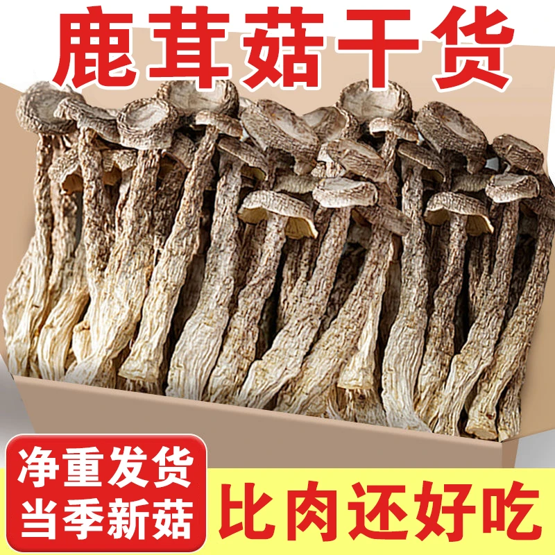 鹿茸菇500g新货农家日晒鹿茸菌干货新鲜食用菌20g干锅煲汤食材