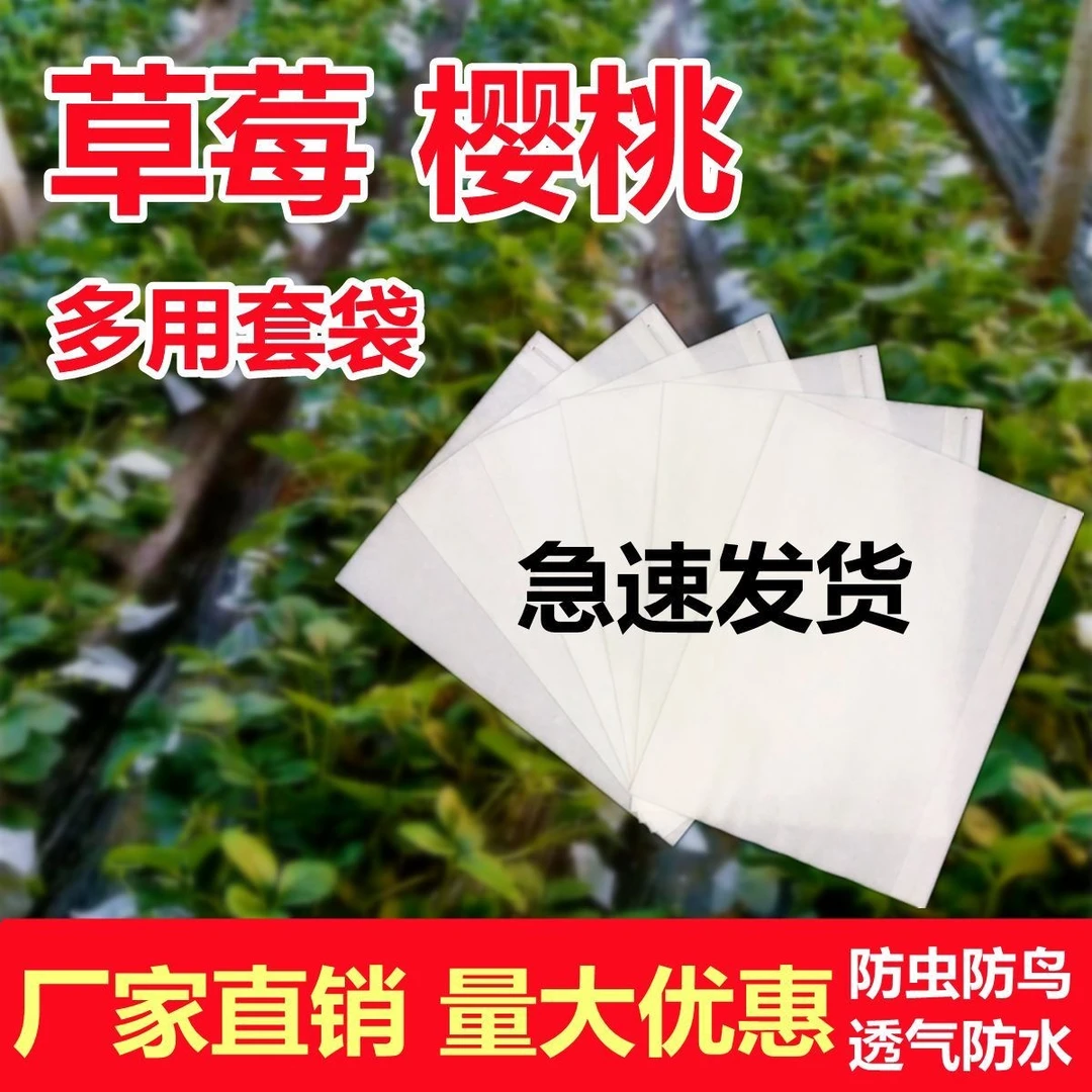 草莓专用袋樱桃袋草莓套袋防水防鸟防虫袋车厘子无花果圣女果套袋