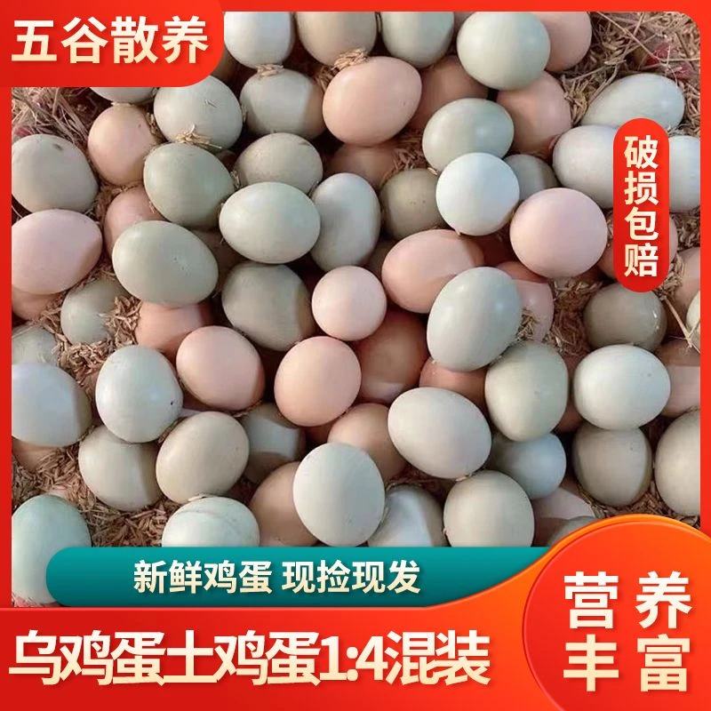 40枚散养新鲜土鸡蛋混合绿壳乌鸡蛋农家营养20枚整箱30枚笨鸡蛋