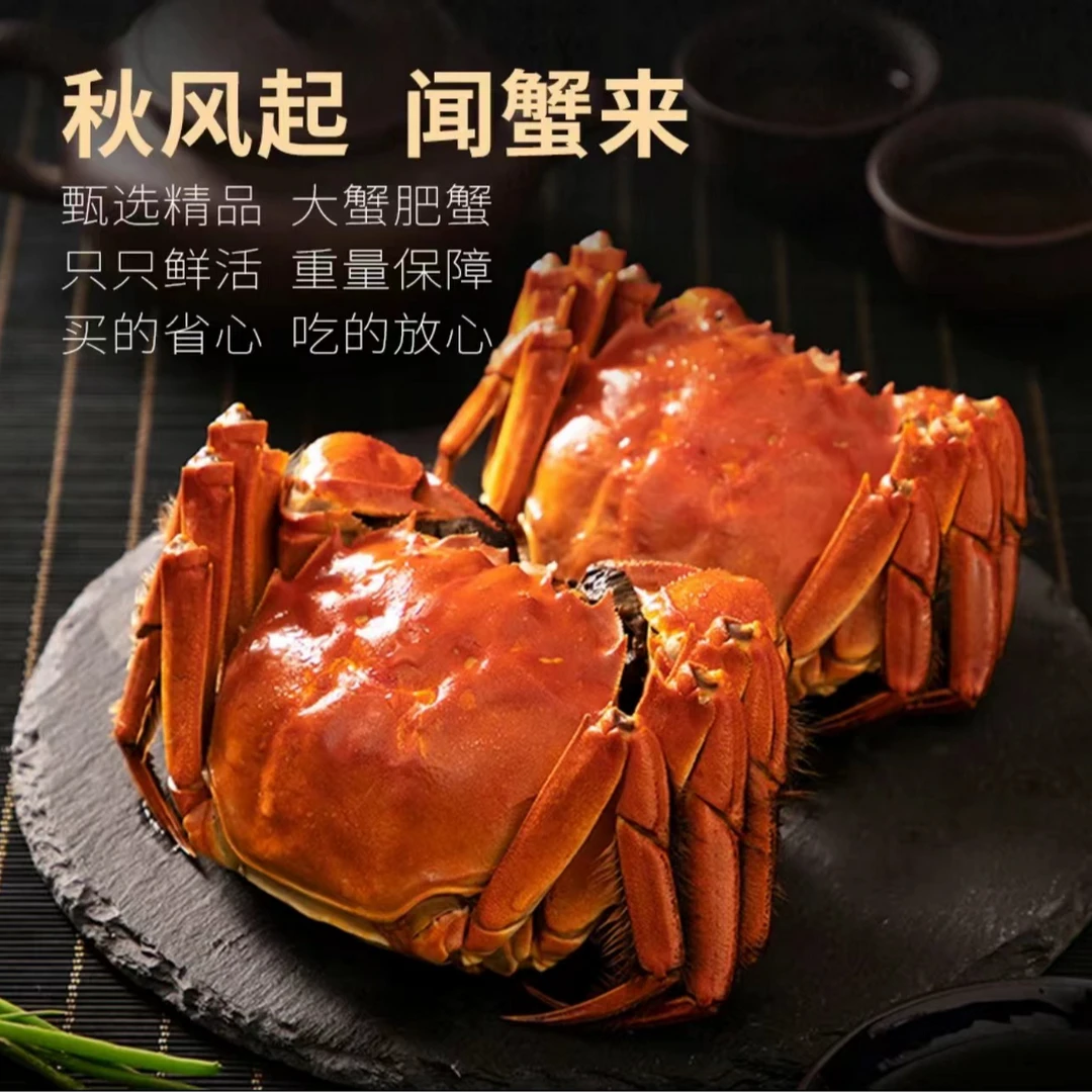 【活蟹现发】精品蟹全母蟹2.4-2.6两6-12只礼盒装中秋礼盒