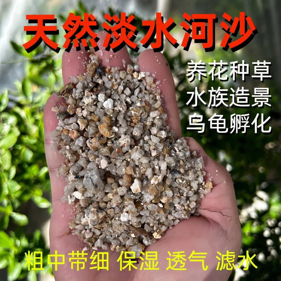 海岛生桩春花石枫栀子花专用天然河沙疏松透气