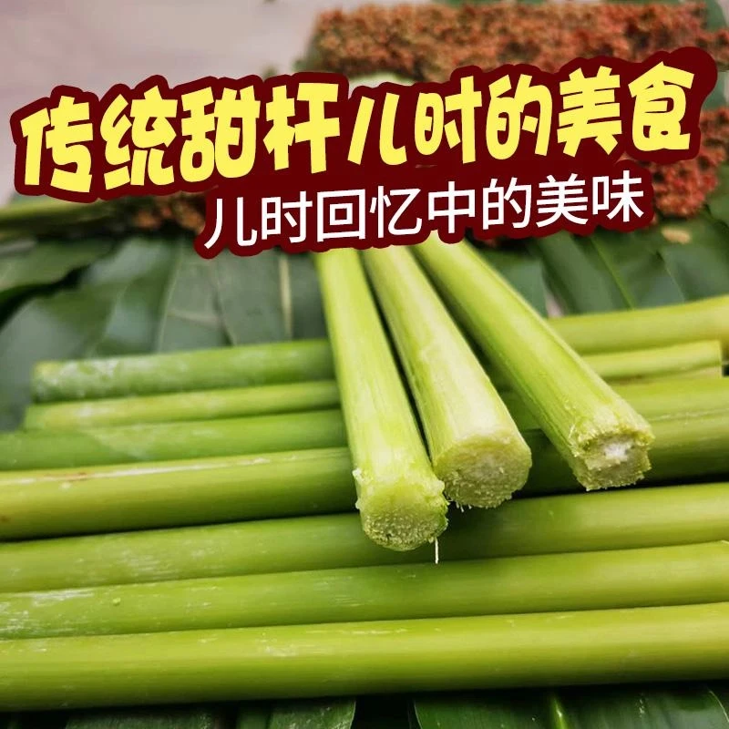【新疆包邮】春季四季北方甜杆秸子甜棒小甘蔗种甜芦稷种籽水果种