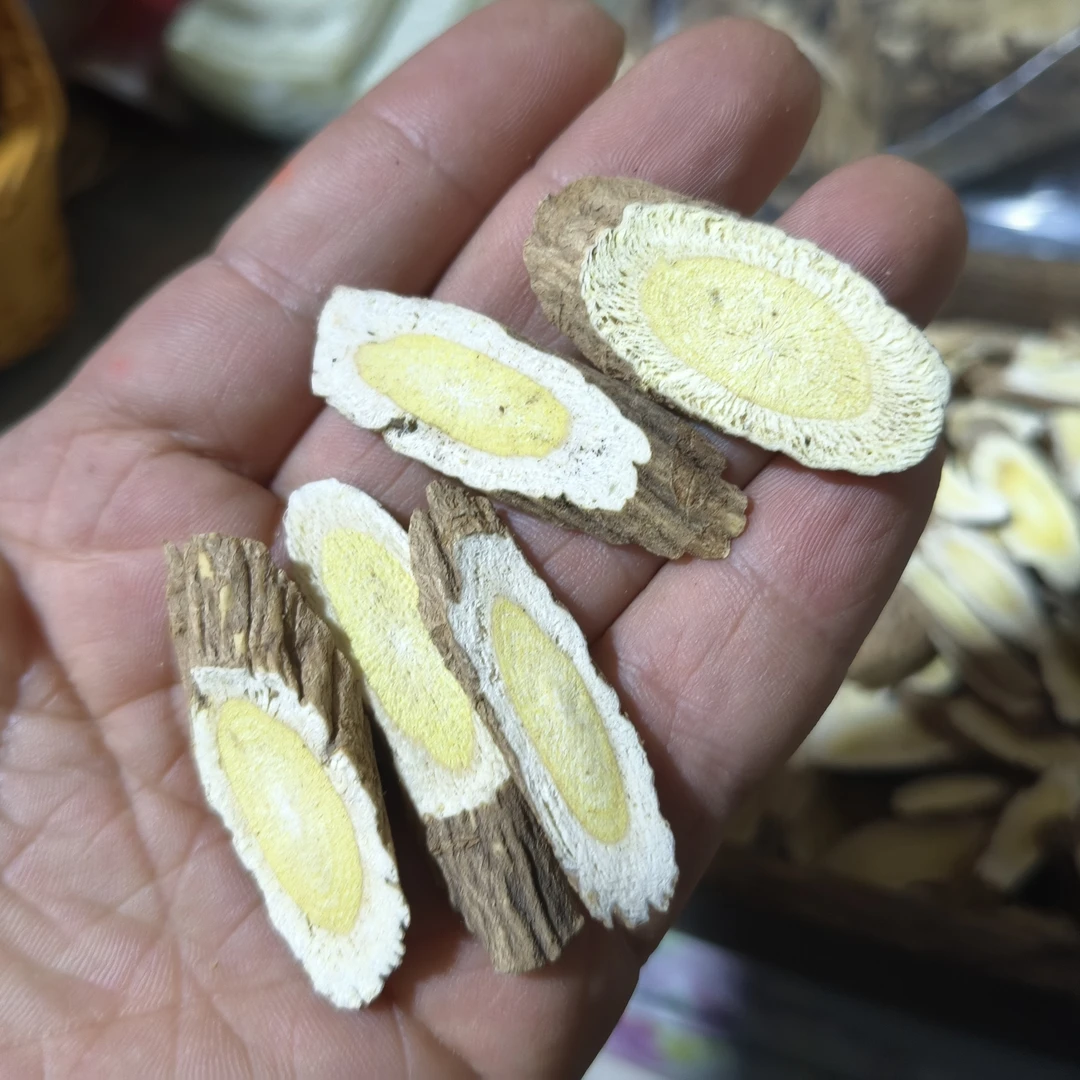 甘肃大山里踩挖野黄芪切片