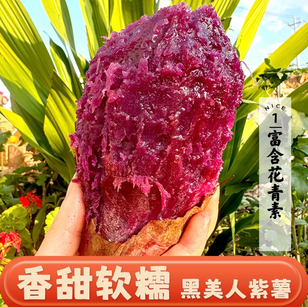 高山黑美人紫薯地瓜蒸烤薯·软糯香甜蜜甜·纤维代餐老少皆宜粗粮