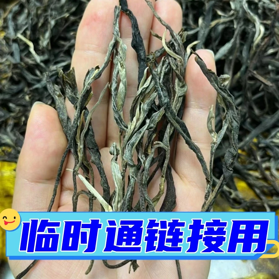 南迫古树春】临时通用链接冰岛南迫37号茶农