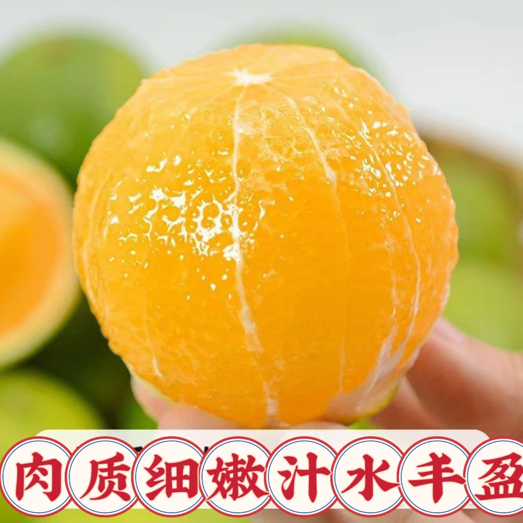【现货现发】云南哀牢山新鲜冰糖橙5斤装清甜多汁应季水果皮薄