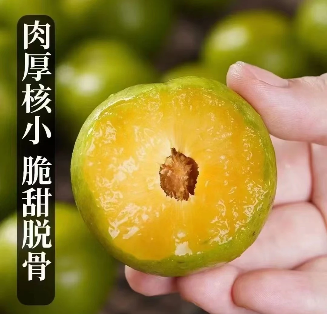 巫山脆李，畅销产品。