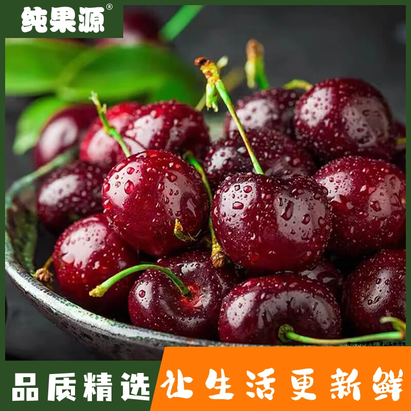 【纯果源小时达】车厘子（2JJ）【1斤装/整箱装】