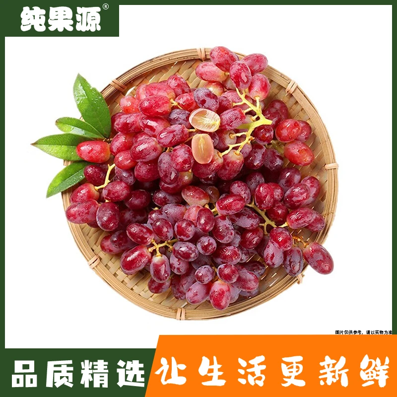 【纯果源小时达】无籽露葡萄 【约1.2斤】葡萄同城送