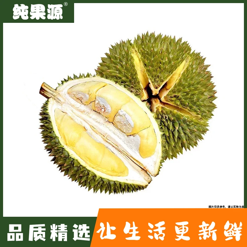 【纯果源小时达】干尧（新鲜）榴莲【约3斤-3.5斤-4斤-4.5斤-5斤-5.5斤-6斤-7斤】（核大）干尧越南