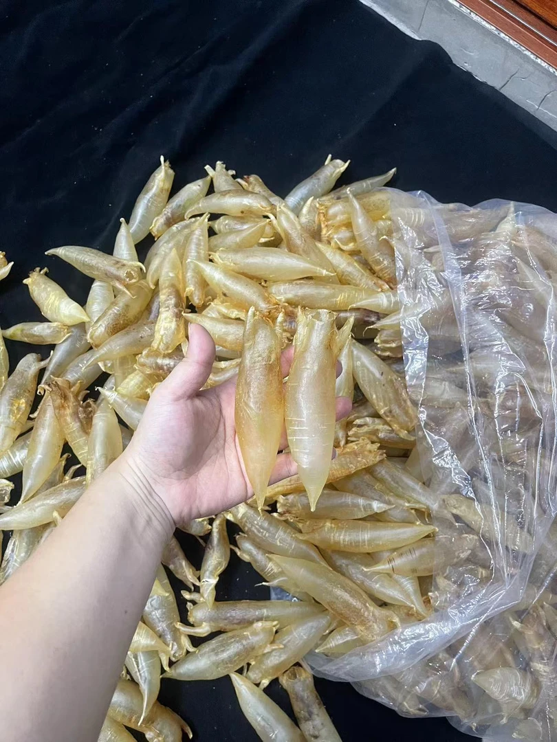 广东潮汕 北海筒鱼鳔
