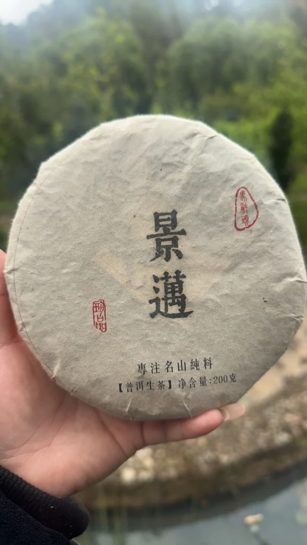景迈古树纯料通用花果香茶香香甜醇厚传统浓厚透亮手工