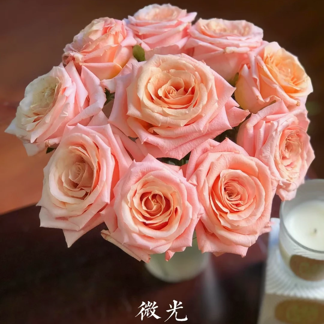 微光---单头玫瑰拍一单发中通 任意链接拍两单升级发顺丰