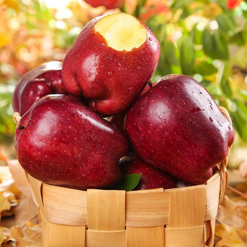 甘肃天水花牛苹果应季新鲜水果粉面果刮泥生鲜整箱中秋送礼礼盒