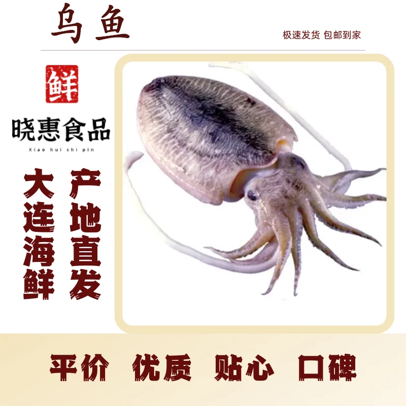 【乌鱼】大连冷冻发货一份三斤全国包邮乌鱼墨鱼，海鲜冷冻发货