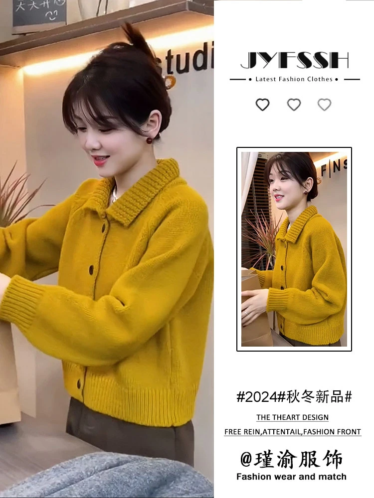 针织衫女2024秋冬韩系时尚设计感翻领外套开衫慵懒风减龄软糯毛衣