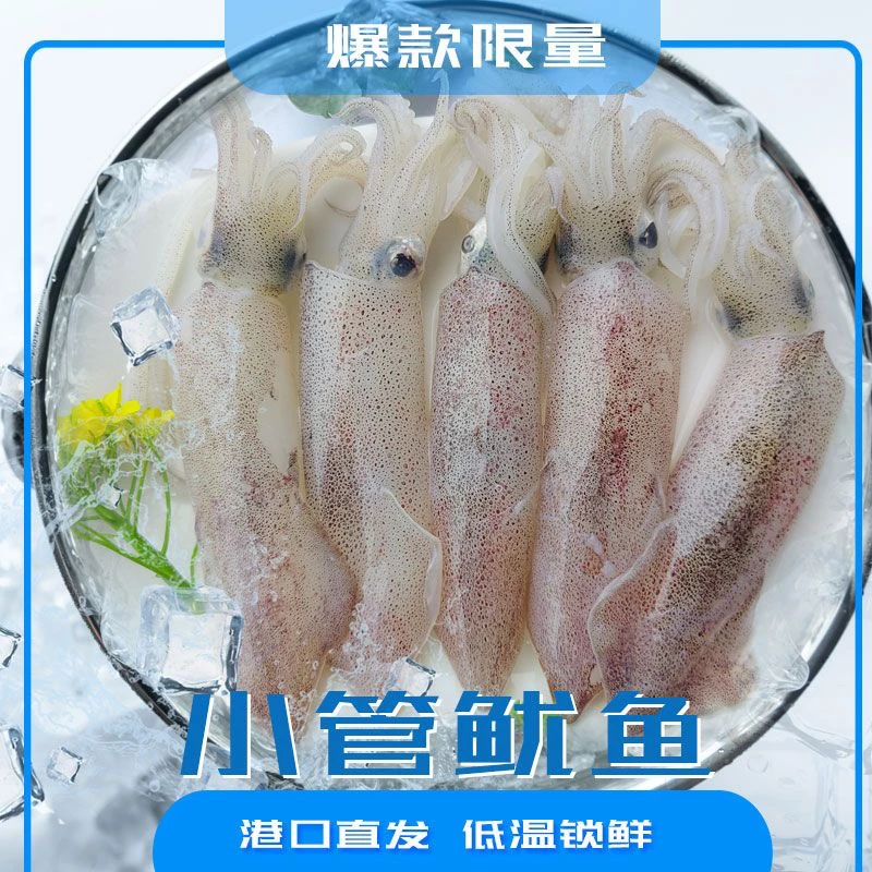 神泉本港照灯鱿鱼 1 包 8 两，5 包起拍广东省顺丰冷链包邮