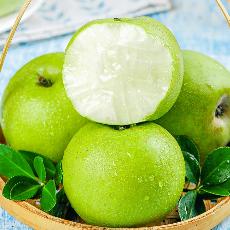【玉希专属】安徽砀山翠冠梨5斤装新鲜水果青皮皇冠梨 多仓发货