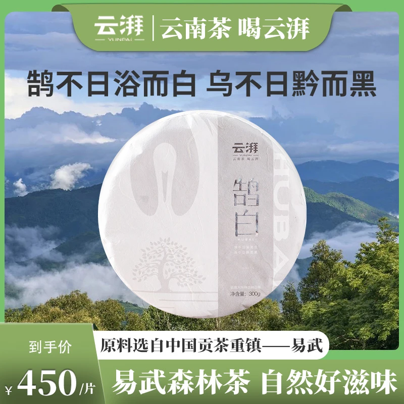 云湃鹄白古树白茶云南易武森林茶
