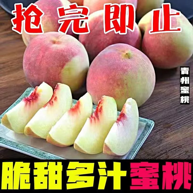 【正宗青州蜜桃2】山地小毛桃新鲜应季水果孕妇甜桃子