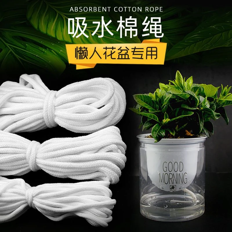 绿植花卉吸水棉绳水培假山吸水棉绳懒人花盆蝴蝶兰出差植物吸水绳