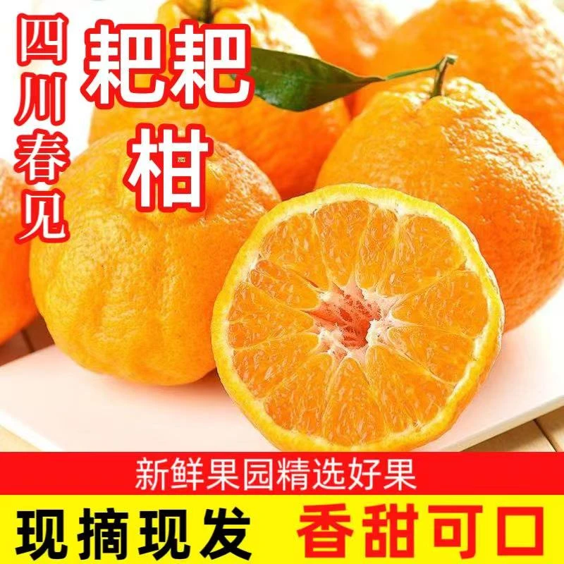 四川春见耙耙柑4-5斤香甜爆汁爽口纯甜新鲜采摘贵州粑粑