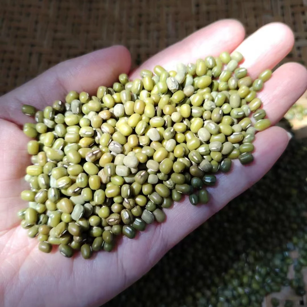 老品种绿豆 农家自种 非转基因 2025 新豆