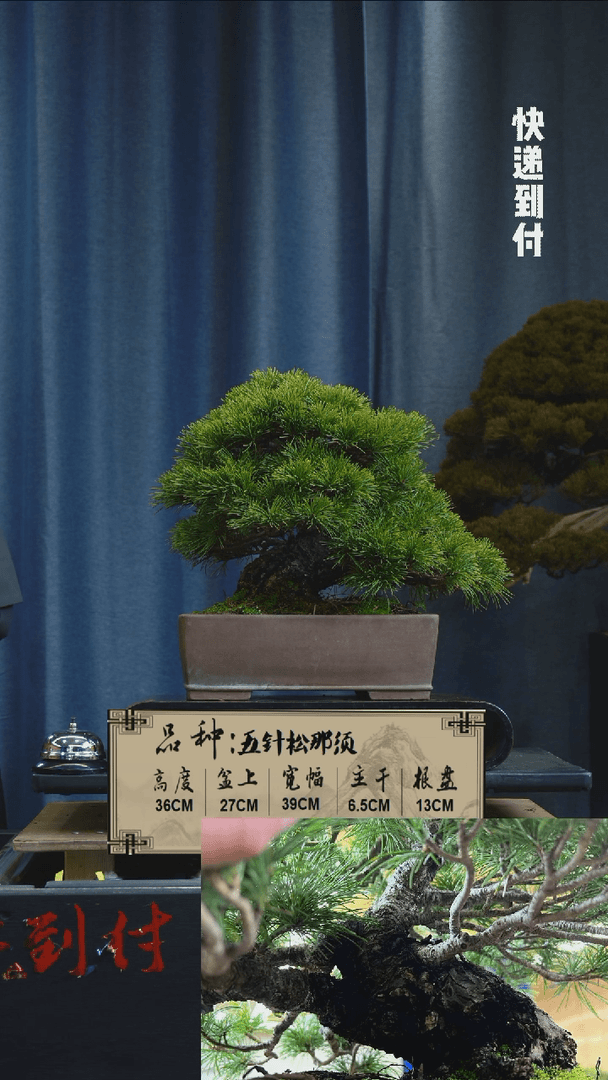 【闪购商品】F723那须bubaoyou