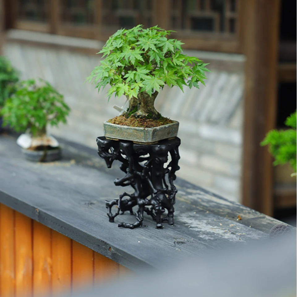 盆景机架《无相》（盆景用品）