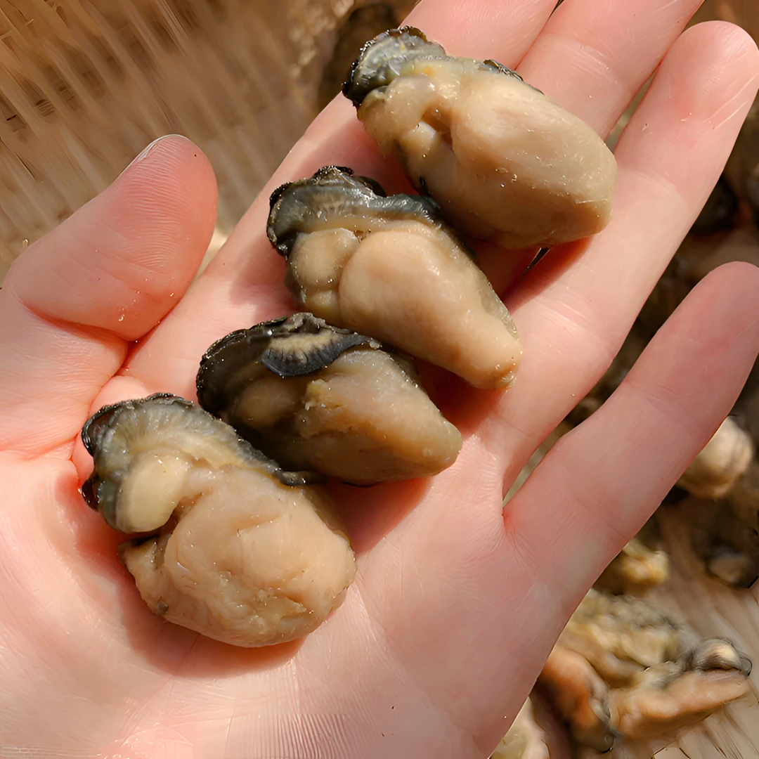 饶平特产无沙蚝干蚝鼓海蛎干生蚝干牡蛎干120头