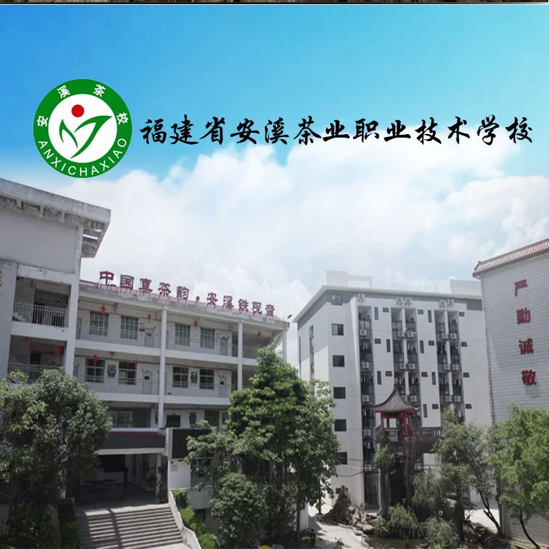 安溪茶校正宗铁观音