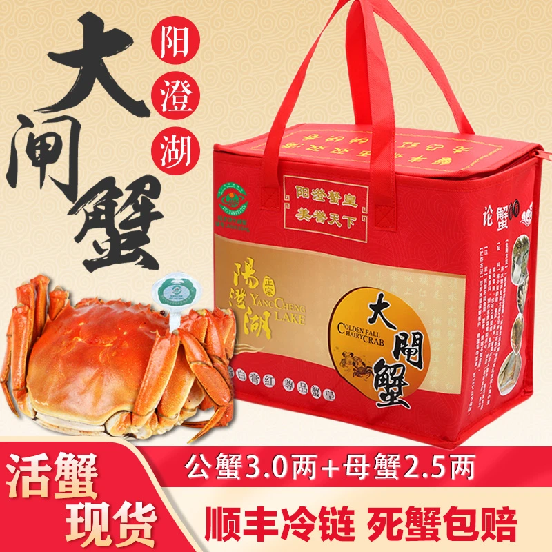 【活蟹】阳澄湖大闸蟹礼盒公蟹3.0两母蟹2.5两8只鲜活螃蟹苏州塘养