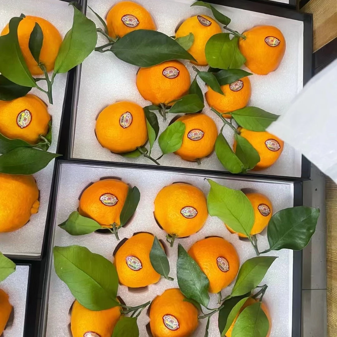 象山红美人精品礼盒装