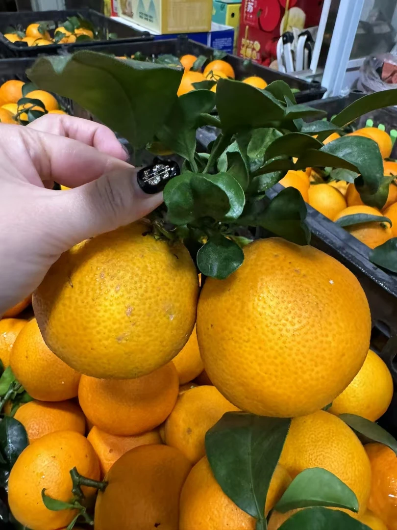 红美人特价果，小果，次果，个别有花皮5斤25