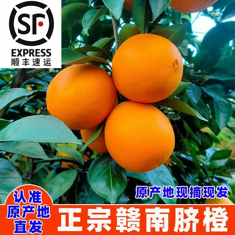 【顺丰发货】正宗江西赣南脐橙新鲜采摘产地直发鲜甜多汁净重4.5斤