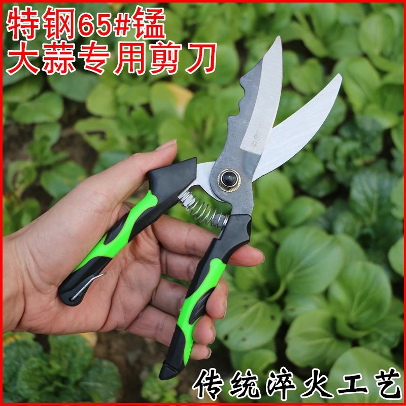 大蒜专用剪刀大蒜剪洋葱蒜胡冬麦剪大蒜的剪子剪大蒜神器蒜剪子