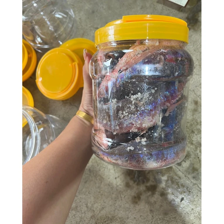 海南西沙正品石青3斤装