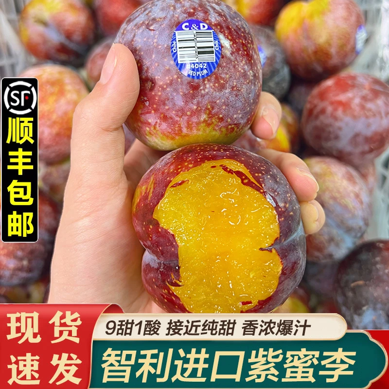 【8甜2酸推荐】智利进口紫蜜李2斤新鲜水果珠宝李子顺丰包邮
