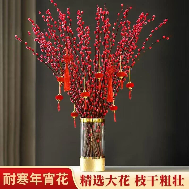 银柳红色银柳干花真花年宵花室内客厅摆放装饰花染色新鲜diy生日