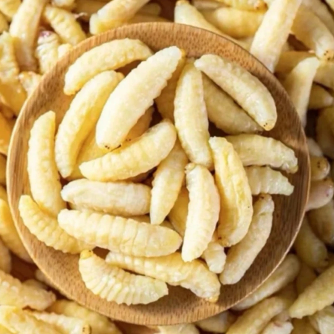 树蜂蜂蛹一二级混装新鲜蜂蛹速冻鲜活旅行可食用生鲜昆虫绳子瑶族