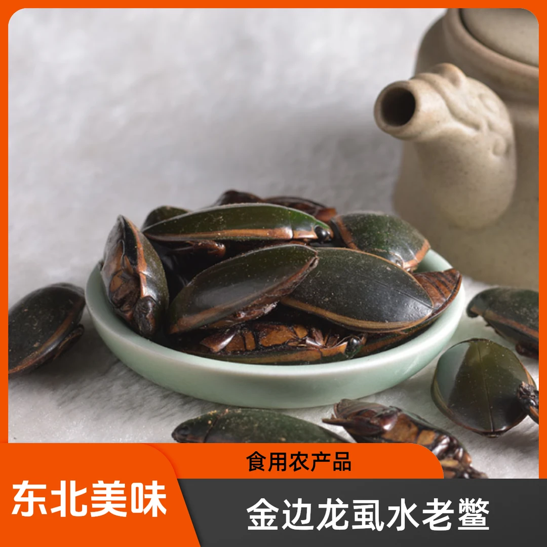特色新鲜冷冻可食用金边龙虱老鳖油炸东北